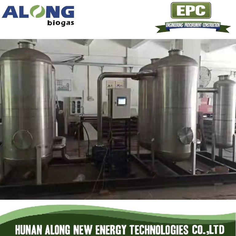 Skid Mounted Biogas Pre-Treatment System Desulfurization De-Moisture De-Dust Equipments