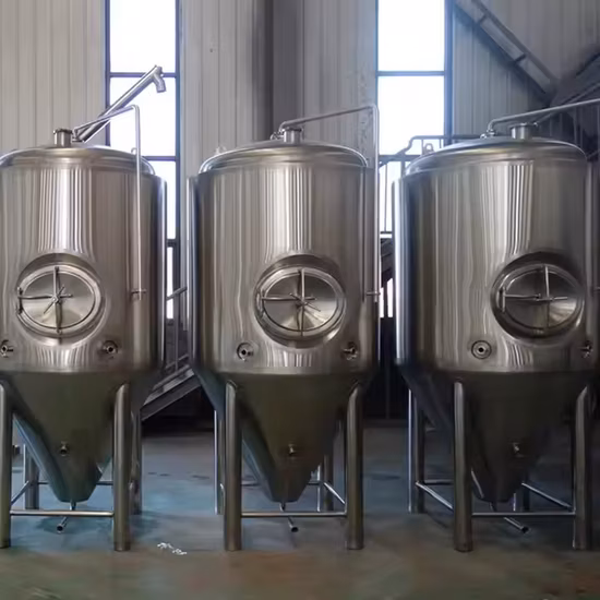 Stainless Steel 500L 1000L Wine Fermenter Vessel Conical Bottom Brewing Bright 5bbl 10bbl Fermentation Tank