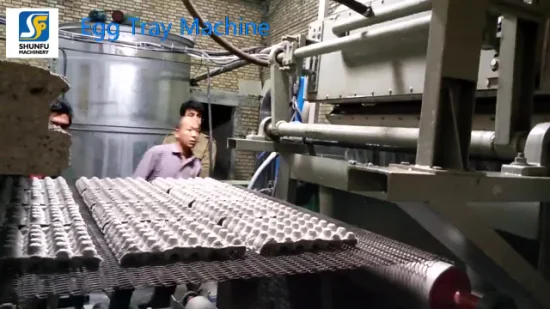 폐지 재활용으로 만든 계란 제조 기계의 장비 라이닝